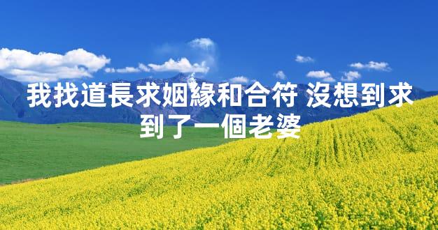 我找道長求姻緣和合符 沒想到求到了一個老婆